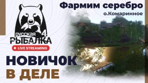 Русская Рыбалка 4: Фармим серебро – новичок в деле #russianfishing4 #русскаярыбалка4