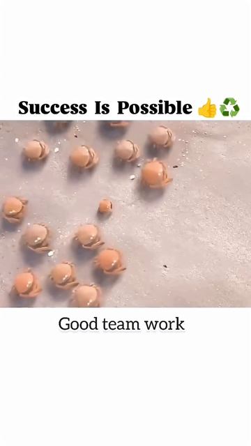 Team Work 💪#memes #corporatememes #funny #teamwork смотреть онлайн