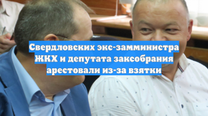 Свердловских экс-замминистра ЖКХ и депутата заксобрания арестовали из-за взятки