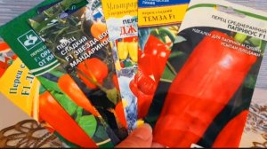 ЛУЧШИЕ СОРТА ПЕРЦЕВ НА 2026 ГОД