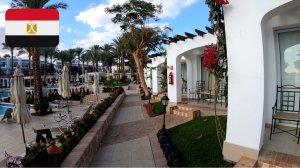 #35 Краткий обзор отеля Jaz Fanara Resort 4*. Египет. Шарм-Эш-Шейх. Декабрь 2025