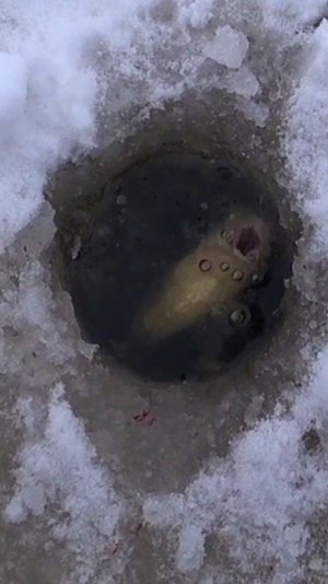 ПОШЛИ СОПЛИ и ПУЗЫРИ.