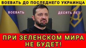 Воевать до последнего украинца. При Зеленском мира не будет. Колобок из Одессы / Одесский бродяга