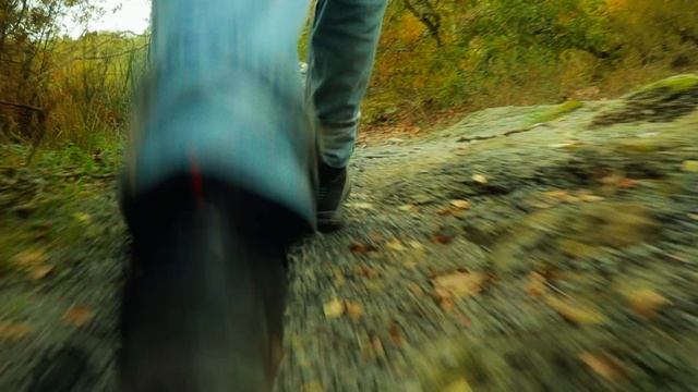 CHASING Cinematic Video - Canon EOS 250D смотреть онлайн