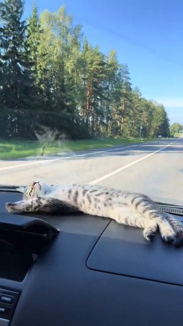 самое лучшее место для отдыха