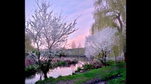 Христианские авторские стихи и песни СВЕТЛАНЫ БУРЕЕВОЙ