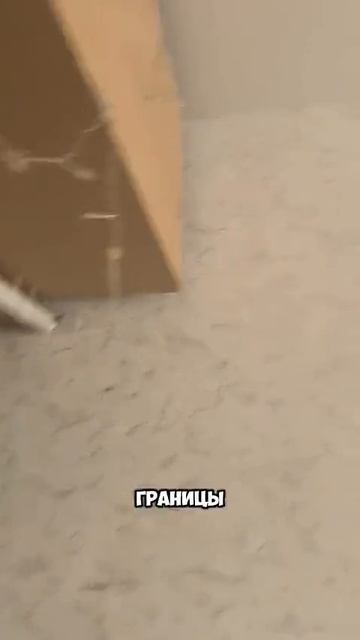 Я думал ты не такой 🐱 смотреть онлайн