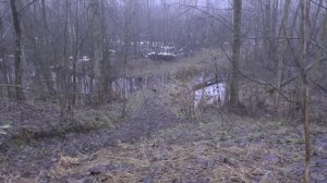 В преддверии видео : "Кекс и удивительная солонка в одном блиндаже."