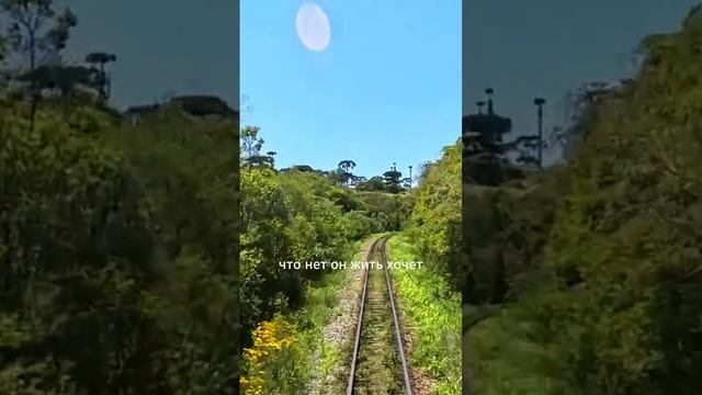 Психосоматика. Как нерешённые конфликты влияют на здоровье — Психолог Александра Боровикова