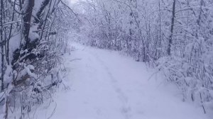 По зимней  тропинке