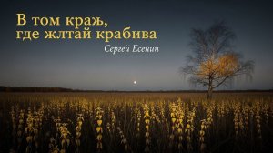 В том краю, где жёлтая крапива №1 Песня на стихи Сергея Есенина
