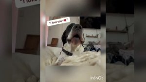 День витаминных напитков !😁🍸🍹🥂🥤