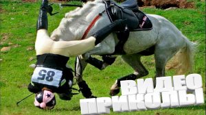 ВИДЕОПРИКОЛЫ \ КРУТЫЕ ПРИКОЛЫ 2025 \ НОВЫЕ ПРИКОЛЫ \ СМЕШНЫЕ ПРИКОЛЫ 2025 ЮМОР