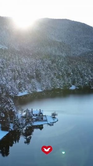 РОПОТ НЕ РЕШАЕТ ВОПРОС