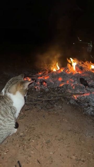 пришел погреться