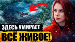 Чертова Поляна: это место убивает всё живое. Что под землёй в Сибири?