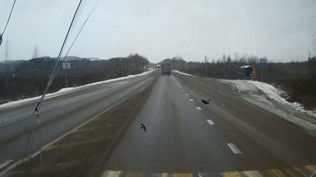 Рейс Очёр - Нефтекамск. Идем в паре. СКАНИЯ 124 смотреть онлайн