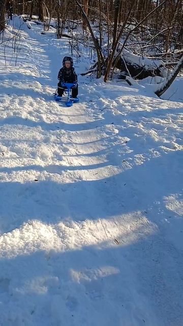 Катания в лесу 🛝❄️