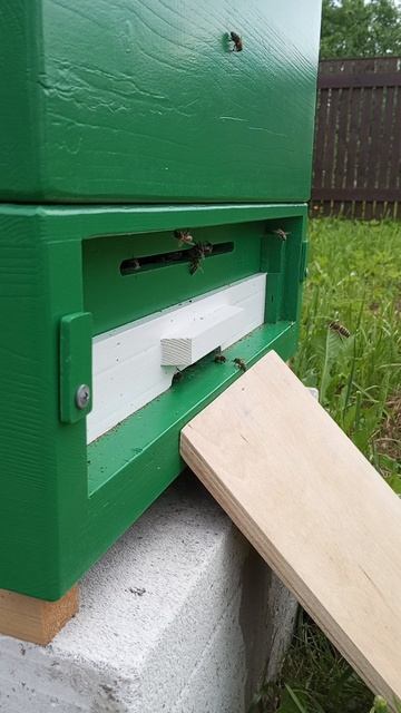 Первый заселенный улей 3.06.2025 смотреть онлайн