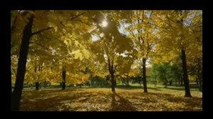 Кира Мил. "Покой". На два голоса