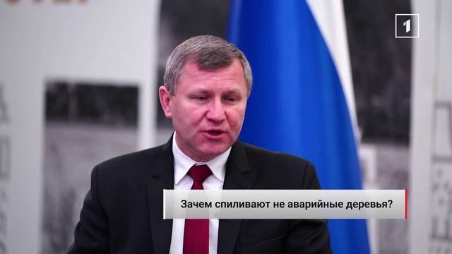 Вдоль Ленинского проспекта спилили здоровые, а не аварийные деревья: кто за это будет отвечать? смотреть онлайн