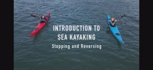 Остановка и обратный гребок(Stopping and Reversing)