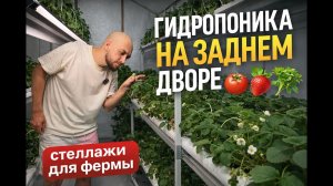 Гидропоника на заднем дворе — серия 3. Собираем стеллаж для сити-фермы