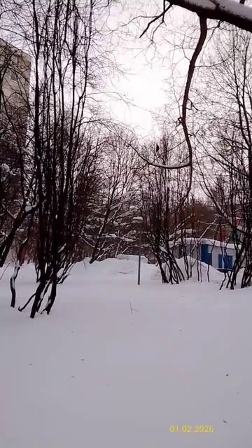 Москва, район Чертаново Южное, 3-й Дорожный проезд 01.02.2026