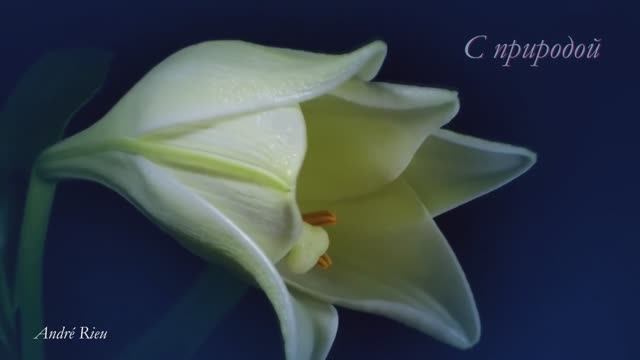 С природой смотреть онлайн