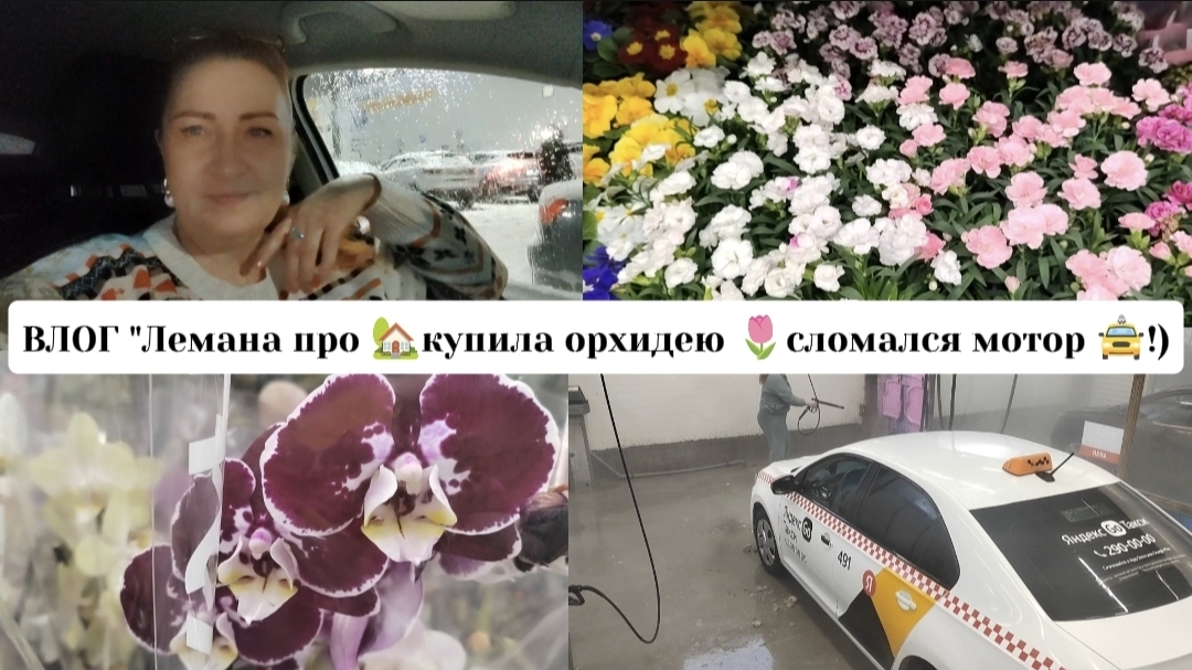 ВЛОГ "Лемана про 🏡купила орхидею 🌷сломалась машина 🚖!) смотреть онлайн