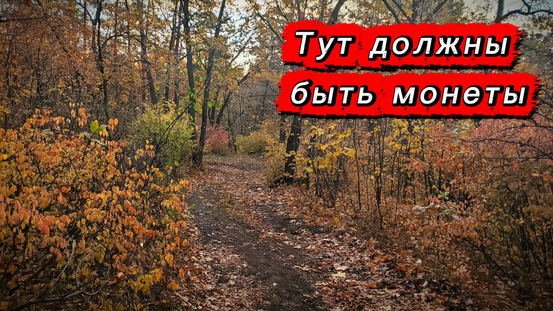 За монетами к дому лесника.