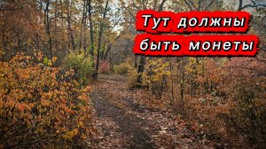 За монетами к дому лесника.