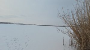 Просто зимний город.