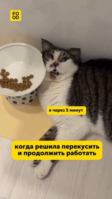 Каждый раз попадаемся на эту уловку😂 #юмор #смех #веселье #мем #питание #foodru смотреть онлайн