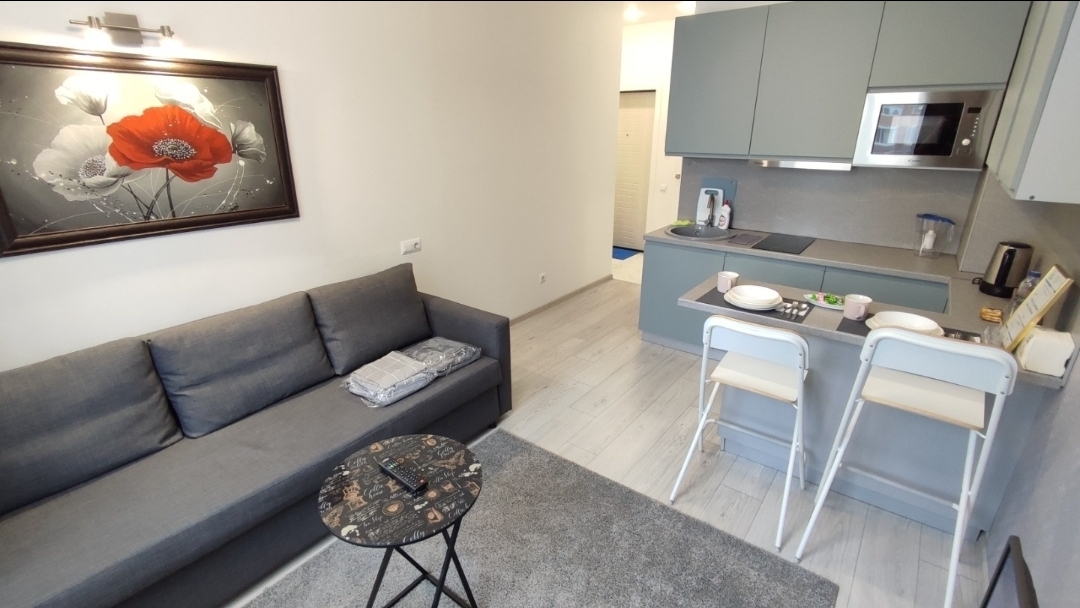 Апартаменты-студия в новом доме на Десантника Александрова.