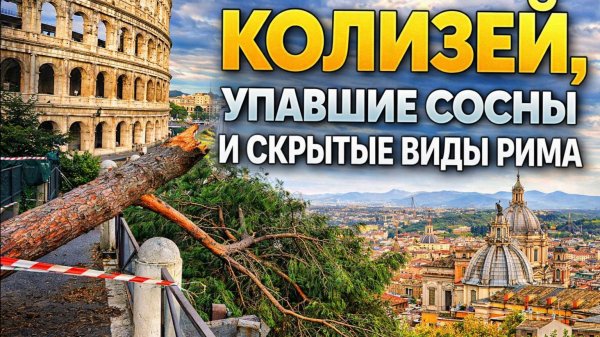 Колизей, упавшие сосны и скрытые виды Рима