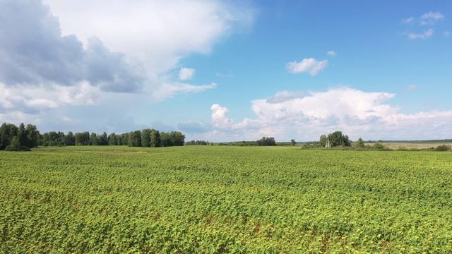 Алтай смотреть онлайн