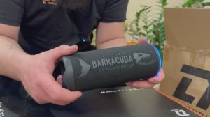 Убийца JBL - портативная колонка от Dl Audio - Barracuda Portable Speaker- обзор - прослушка и тесты