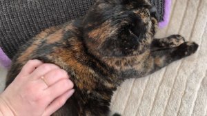 оставьте бабушку в покое