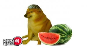 АРБУЗНЫЕ ХРОНИКИ АДБЛОКА - Сыендук