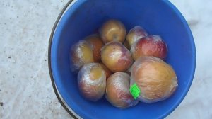 ЯБЛОКИ ИЗ ПОГРЕБА