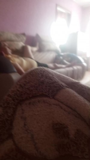 мой дом В ПРЯМОМ ЭФИРЕ