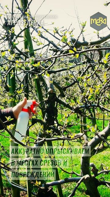 АГРОЗЕЛЁНКА инструкция по применению за 2 минуты