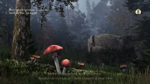 Мир игры: детали — Лес