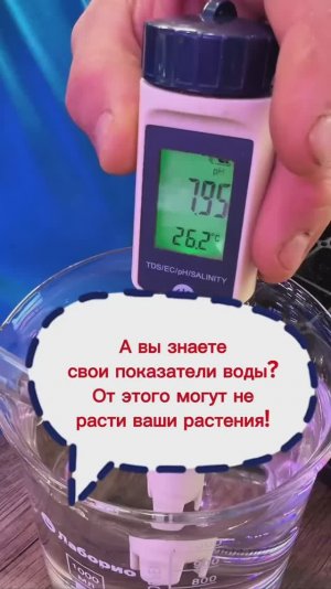 Чем, когда и как подкармливать рассаду?! #рассада #сад #дача #огород #петунич