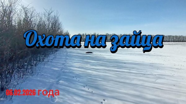 Охота на зайца.