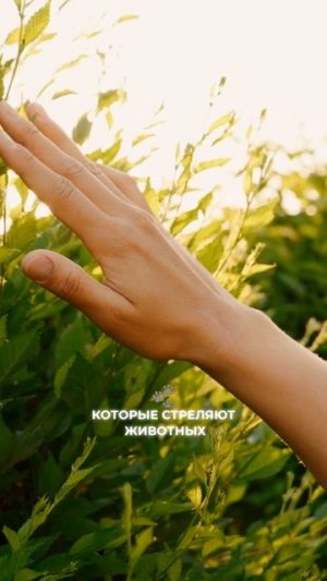 Кто выживет в великой жатве 2027 (часть 2)