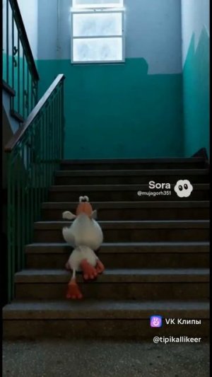 х** знает что писать