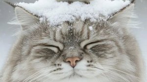 26-01-2026Жизнь в селе. Морозно но жить можно.