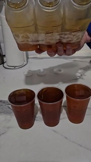 Mobil1 ESP 0w30 Freezing Test -27C